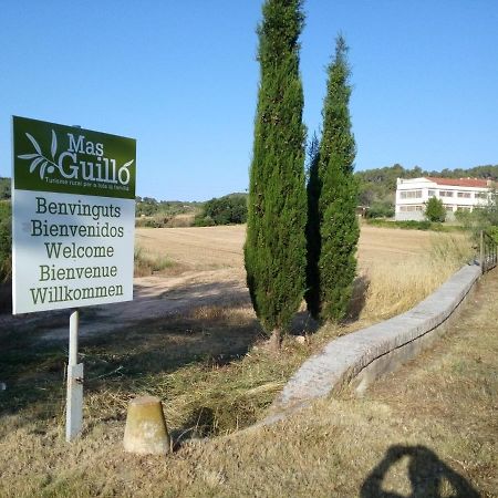 La Nursery De Mas Guillo San Quintín de Mediona Exterior foto